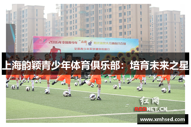 上海韵颖青少年体育俱乐部：培育未来之星
