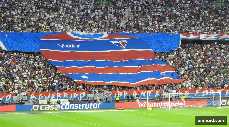 三亿体育有限公司一键解锁全球赛事，让热爱永不缺席⚽️